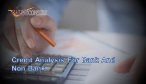 Credit Analysis for Bank and Non Bank