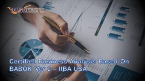 Certified Business Analysis Based on BABOK Ver 2 – IIBA USA