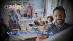 Online Training : Organization Development (OD)