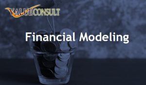 Training Financial Modeling