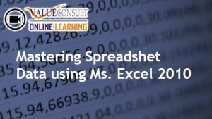Online Training : Mastering Spreadshet Data using Ms. Excel 2010