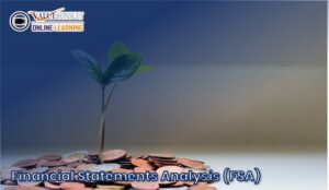 Online Training : Financial Statements Analysis (FSA)