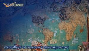 Cashflow & Treasury Management