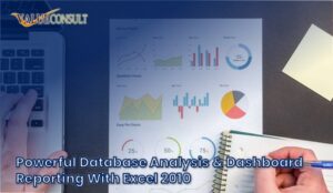 Powerful Database Analysis & Dashboard Reporting With Excel 2010