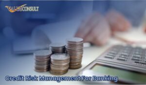 Credit Risk Management For Banking
