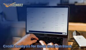Credit Analysis for Bank and Non Bank